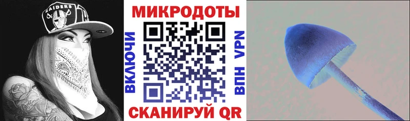 Псилоцибиновые грибы мухоморы  где продают наркотики  Талица 